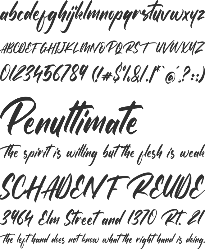 The Raster font preview