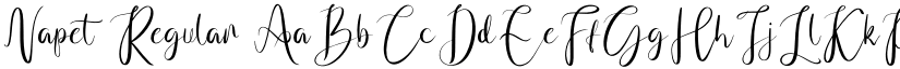 Napet Regular font