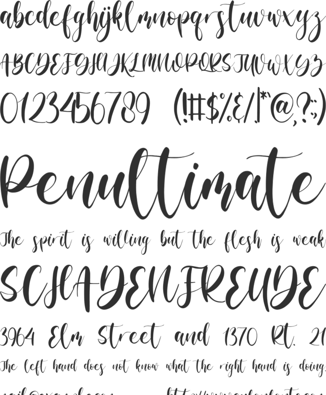 Midmountte font preview