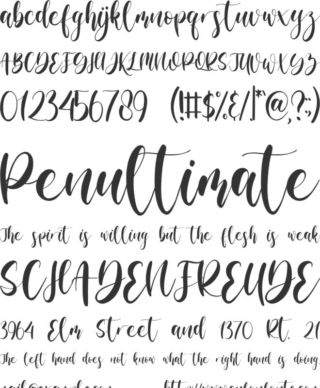 Midmountte font preview