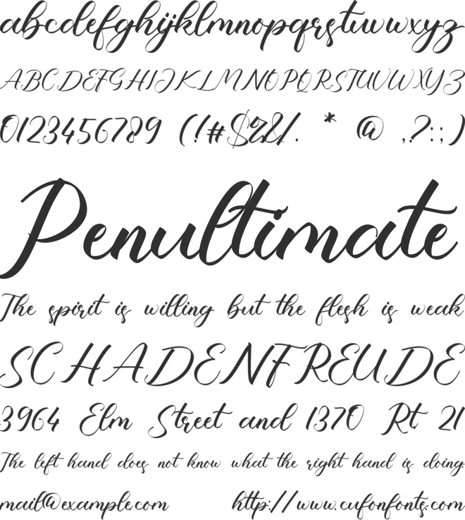 Cadence Audrina font preview