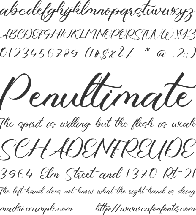 Amaris Catalina font preview