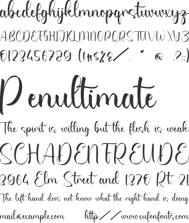 Charlie Shyanne font preview