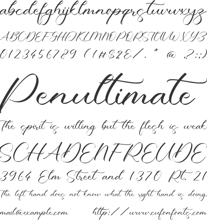 Paterson Nolan font preview