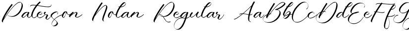 Paterson Nolan Regular font