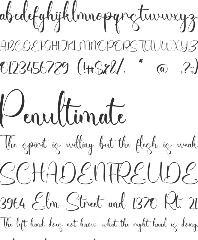 Brynleigh font preview