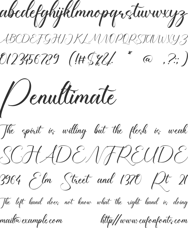Royalty font preview
