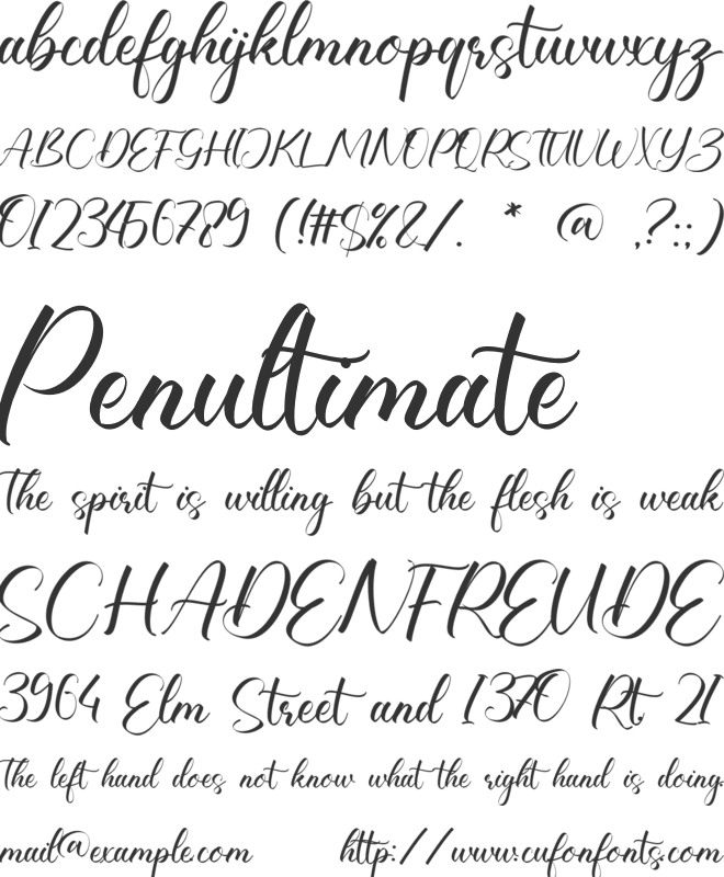 Cherish Shaylee font preview