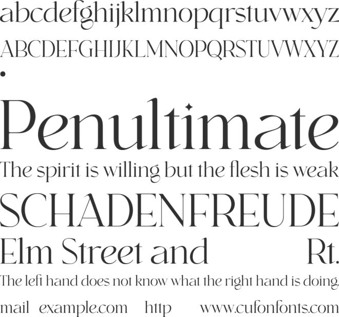 swagen font preview