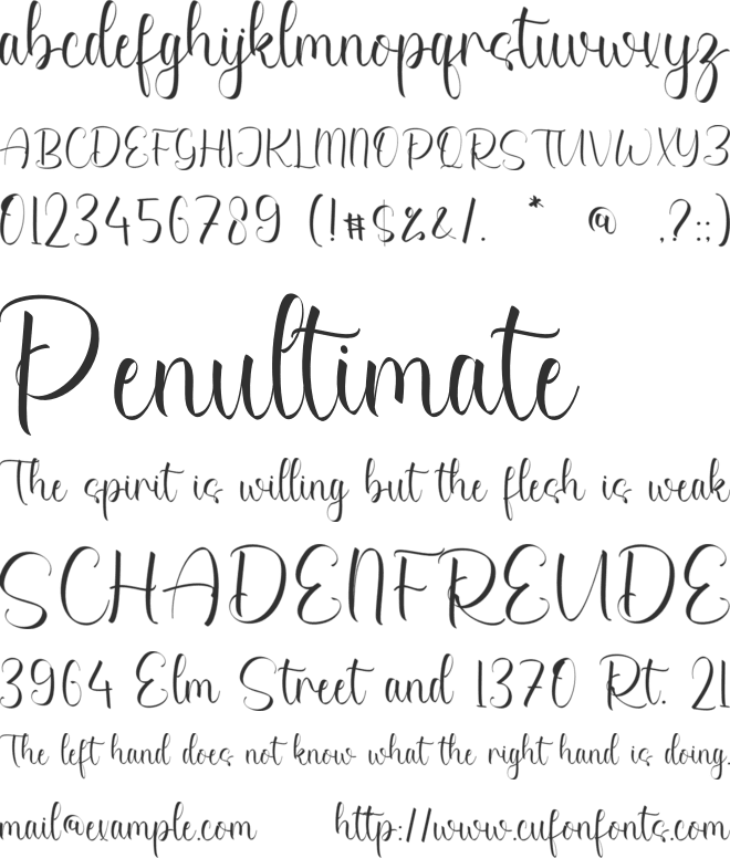 Patricia Kaitlynn font preview