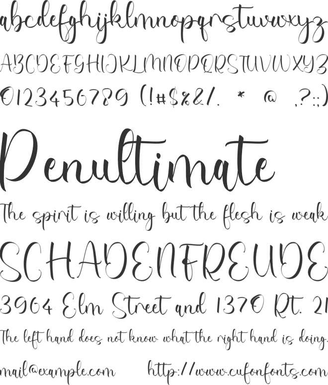 Catalina Autumn font preview