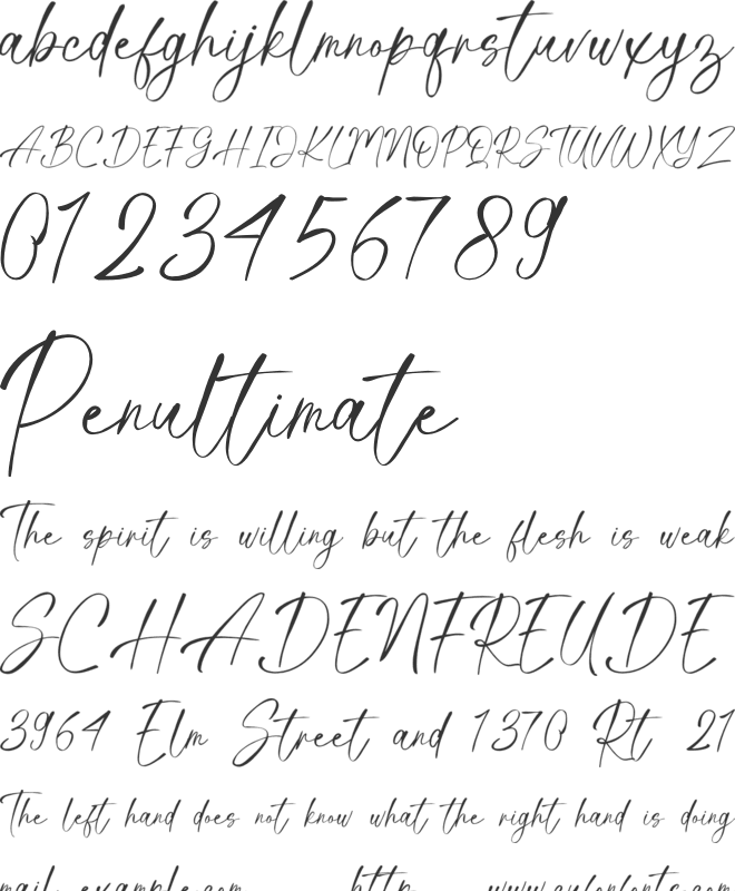 Dream Always font preview