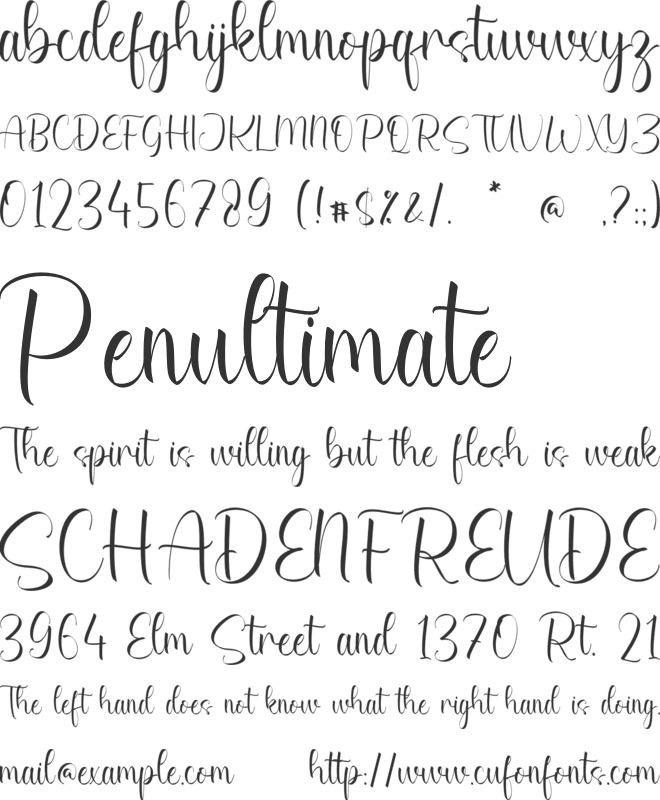 Rayne Susan font preview