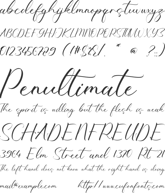 Ophelia Cassidy font preview