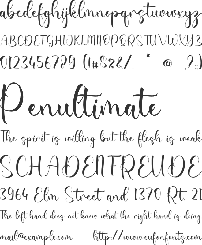 Randal Jennifer font preview