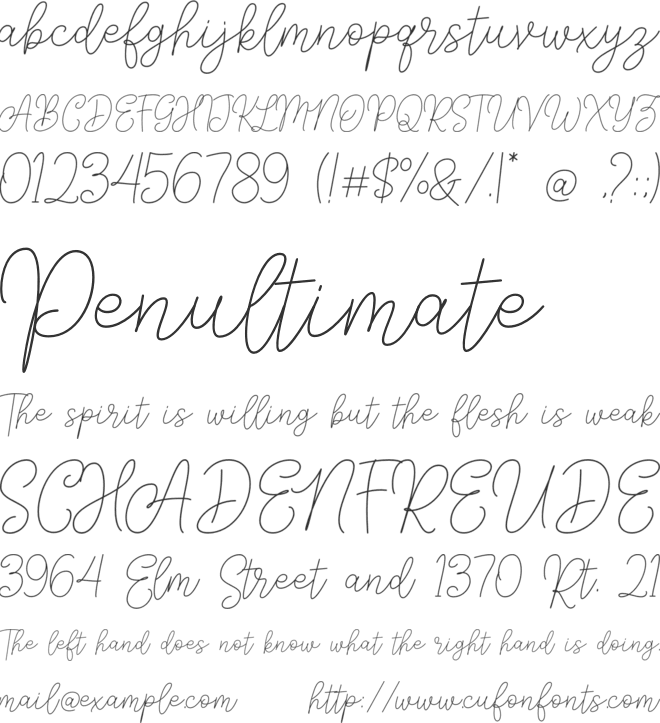 Andien Nidya Demo font preview