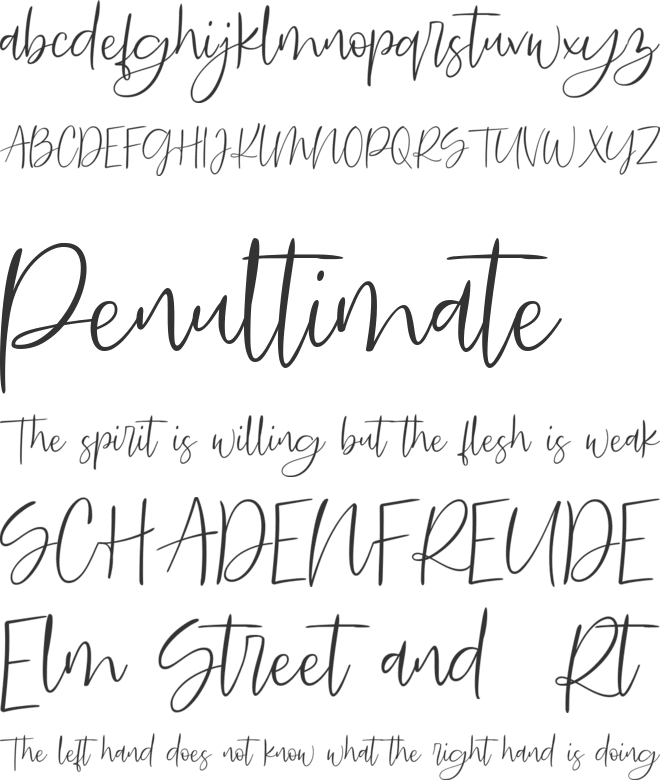 Searches DEMO font preview