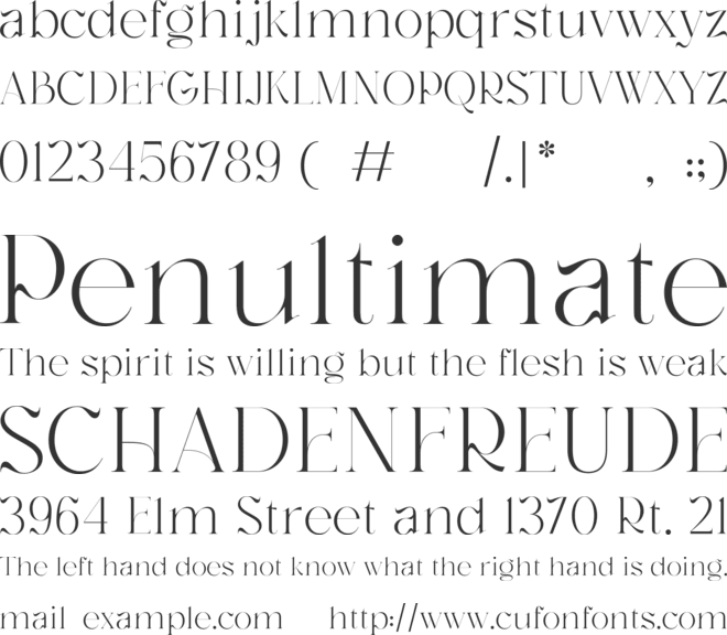 Negaroa font preview