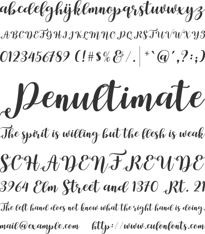 Gestori font preview