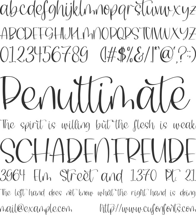 Staylatte font preview