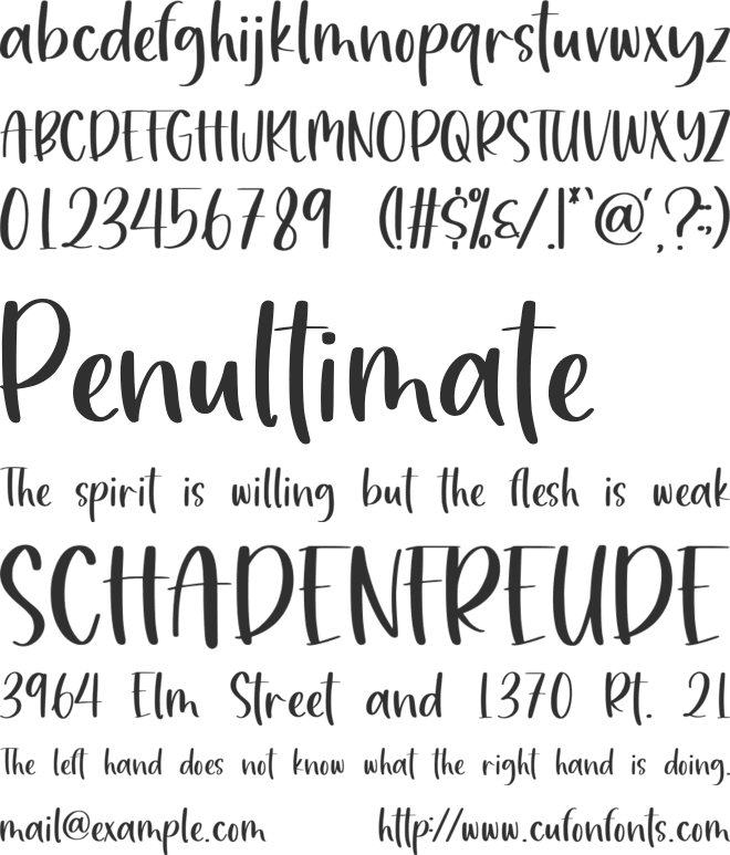 Pageberry font preview