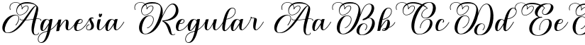 Agnesia Regular font