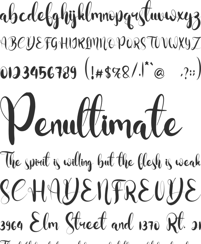Dollar font preview
