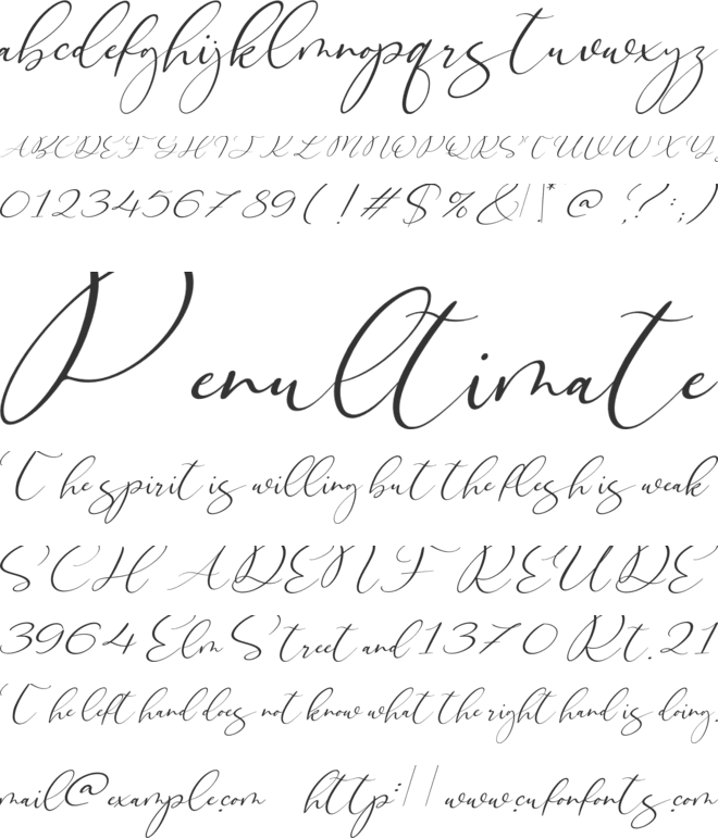 Black Velvet font preview