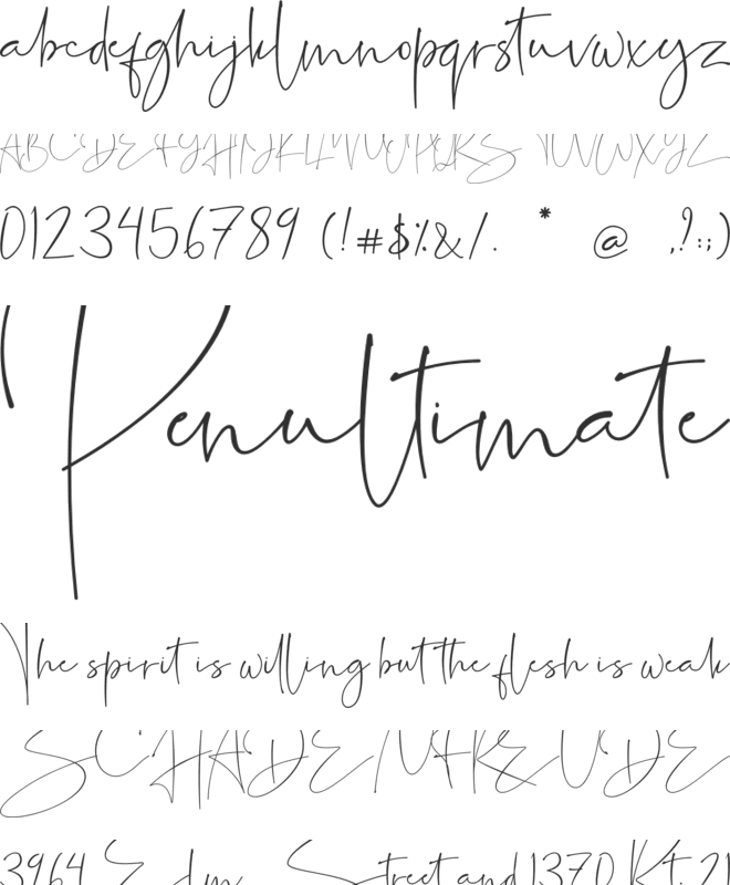 Sightwell Signature font preview