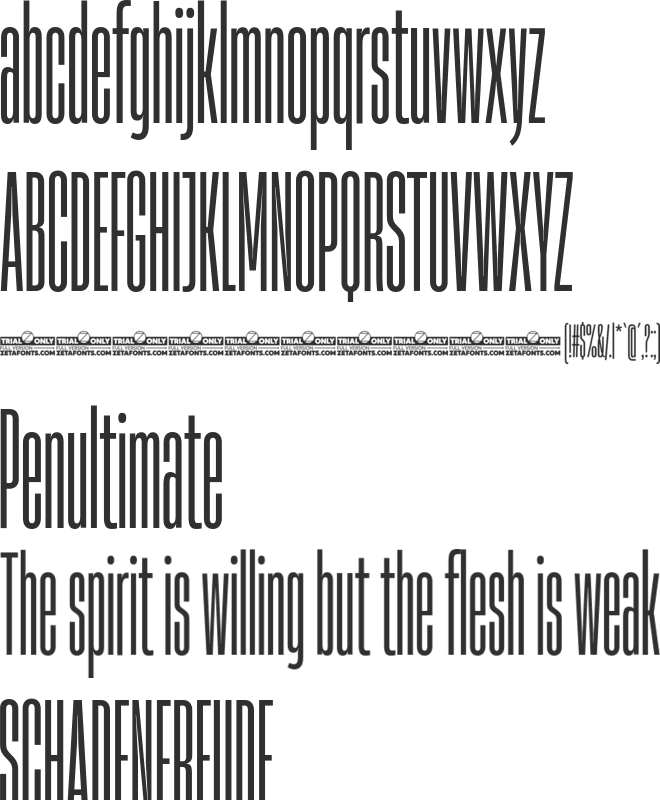 Heading Now Trial font preview