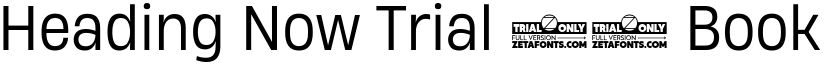 Heading Now Trial 63 Book font