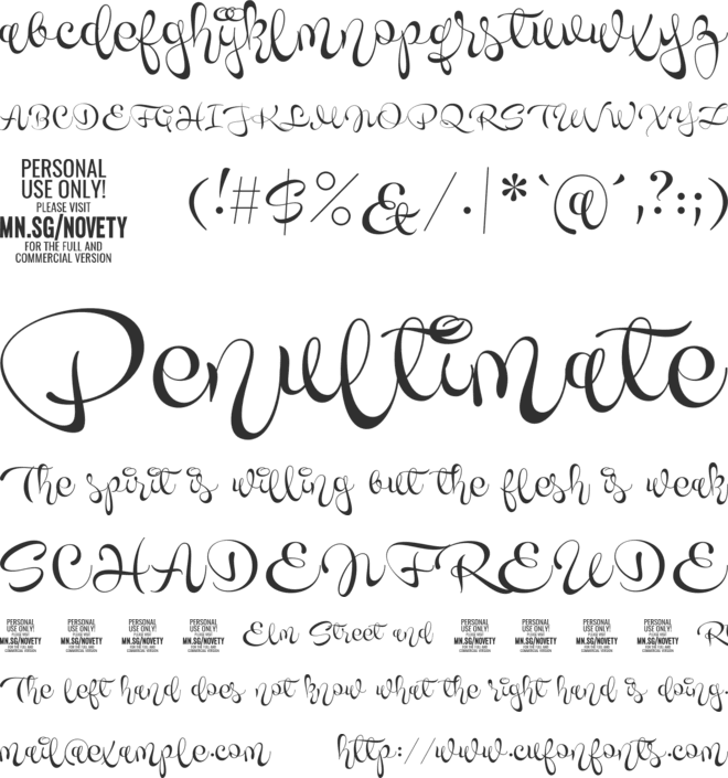 Novety Script PERSONAL USE ONLY font preview
