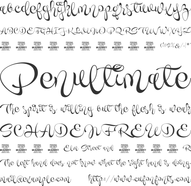 Novety Script PERSONAL USE ONLY font preview