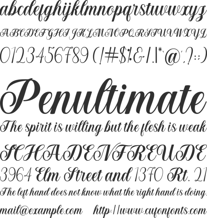 Bellagia Script font preview