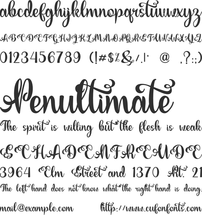 Realiy font preview