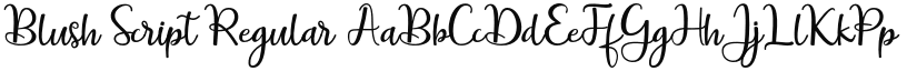 Blush Script font download