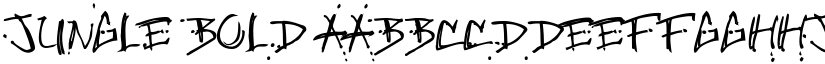 Jungle Bold font