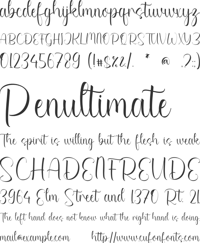 Ashlynn Yadira font preview