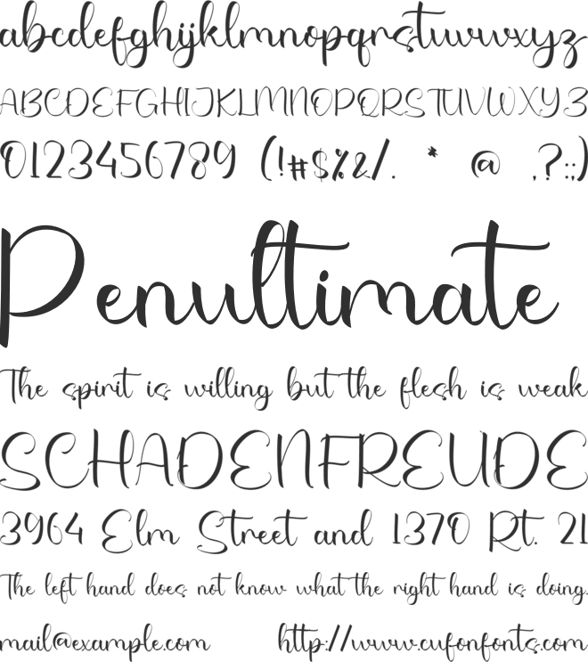 Sensly Dhanies font preview