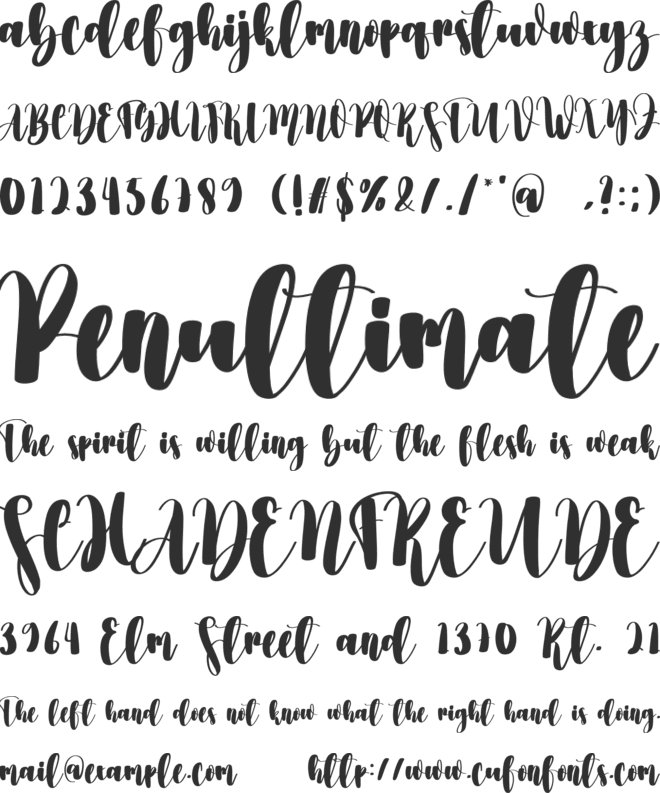 Calligraphy font preview