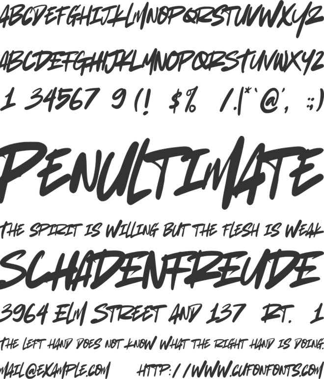 Lost in South font preview