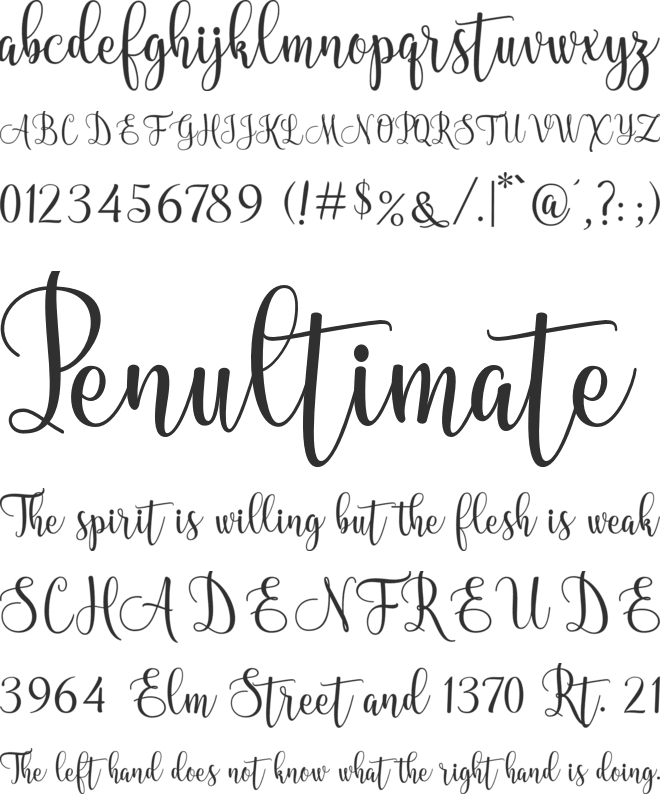 Nelistha font preview