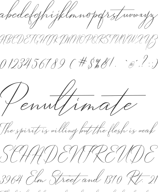 Robertortiz font preview