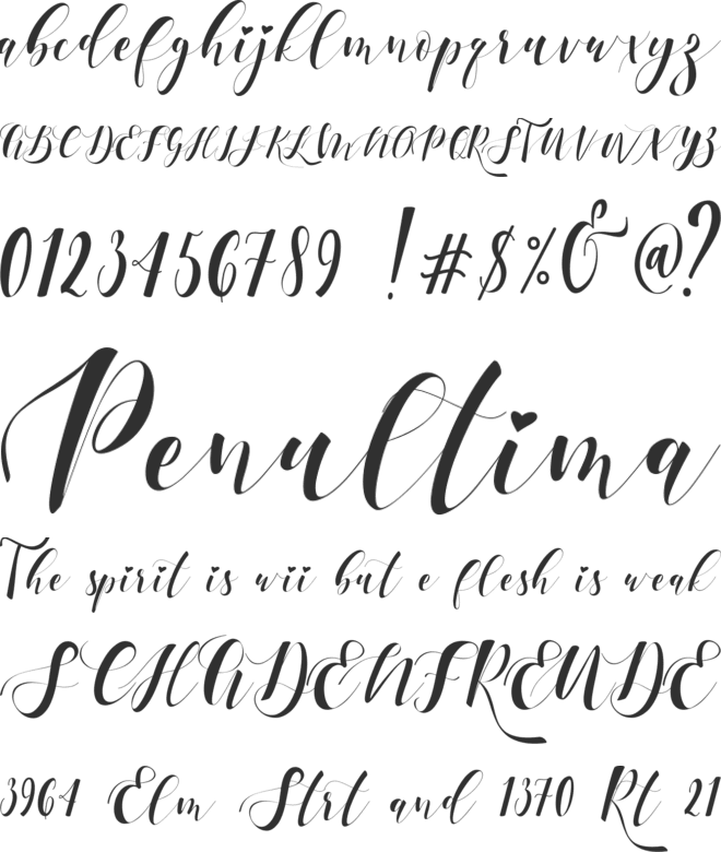 Ectomorph font preview