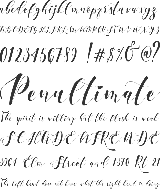 Ectomorph font preview