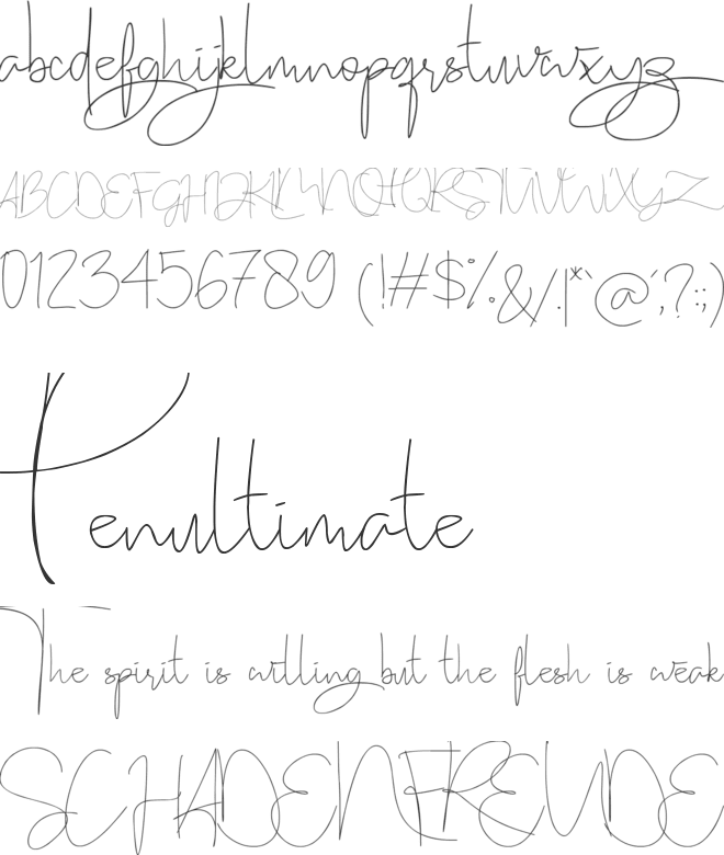 Stealletto font preview