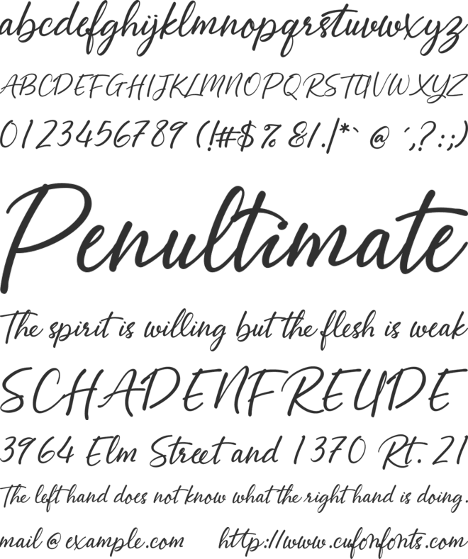 Abellaice Script font preview