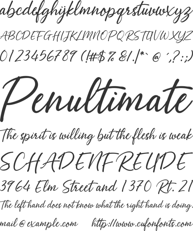 Abellaice Script font preview