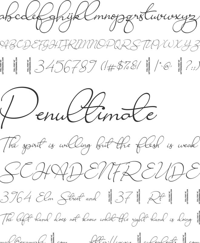 Ravishing Solidago Free font preview