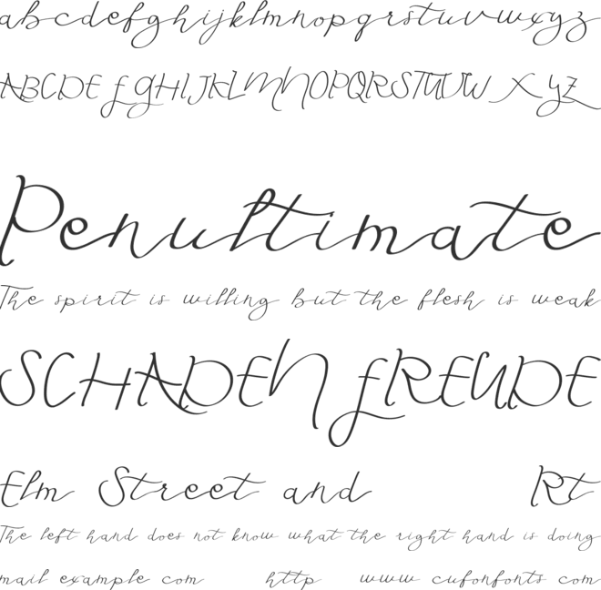 Fly Featherdemo font preview